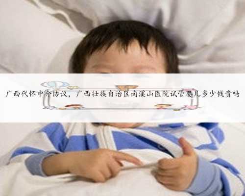 广西代怀中介协议，广西壮族自治区南溪山医院试管婴儿多少钱贵吗